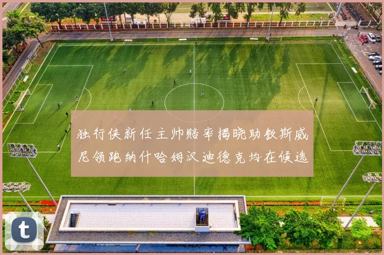 独行侠新任主帅赔率揭晓助教斯威尼领跑纳什哈姆汉迪德克均在候选之中
